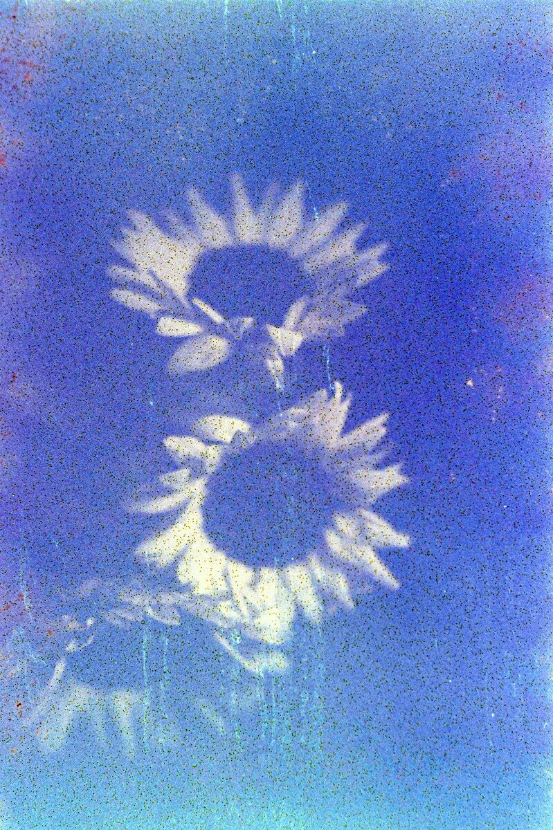 Ziad Antar, <i>Untitled</i>, 2024. Photo-paper mounted on dibond, 48 x 48 in (60 x 40 cm)